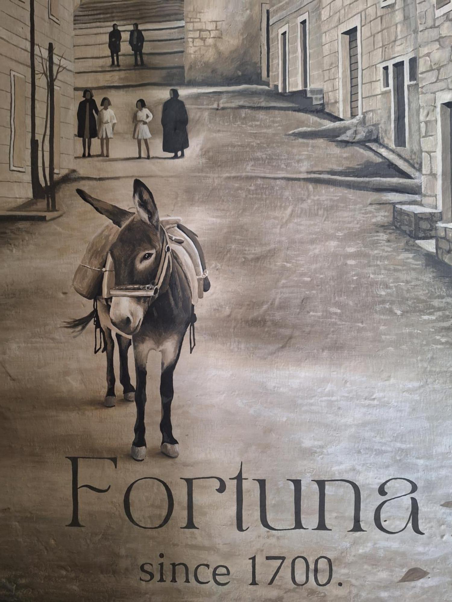 Fortuna Nerezisca 外观 照片